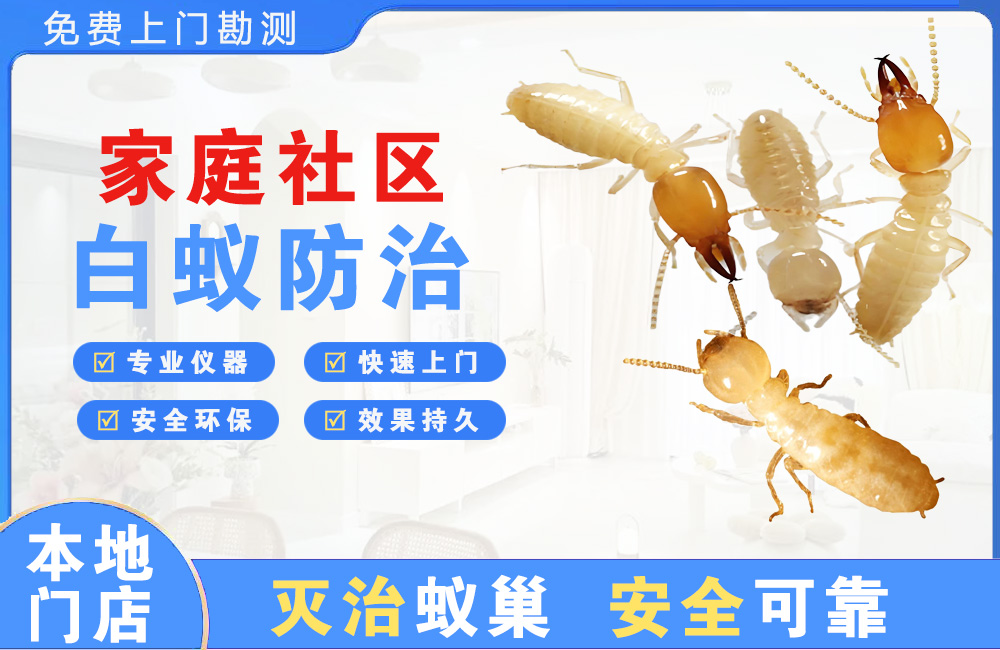 临沧家庭社区白蚁防治