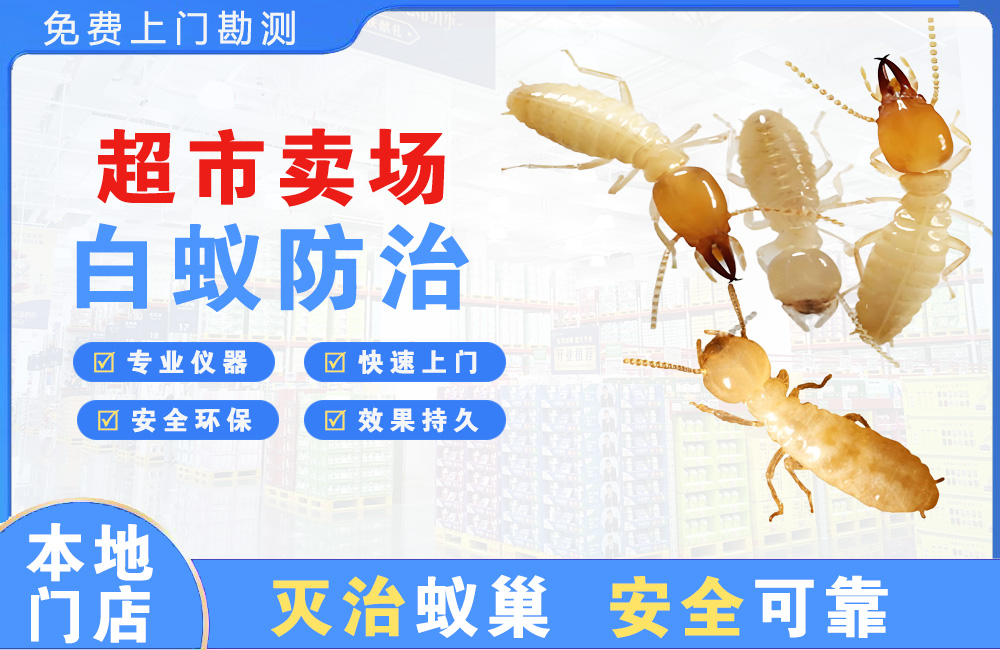 临沧超市卖场白蚁防治