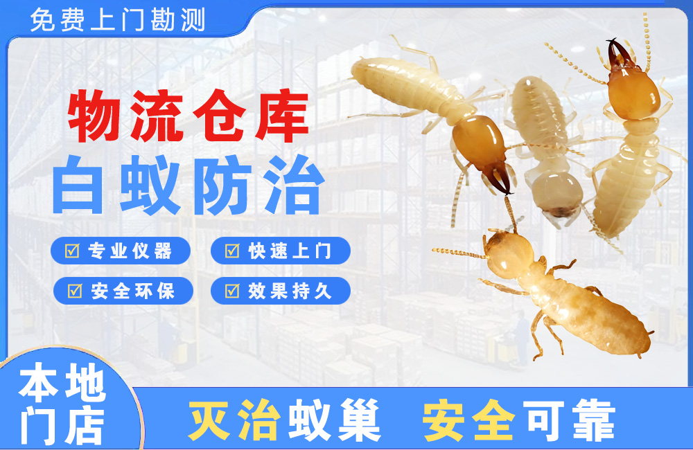 临沧物流仓库白蚁防治