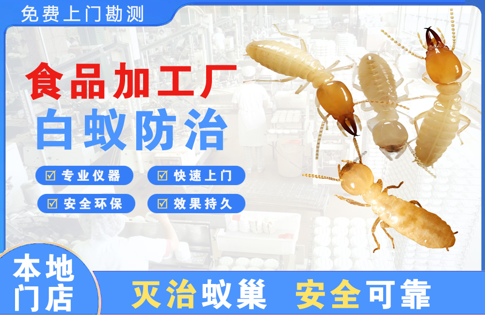 临沧食品加工厂白蚁防治