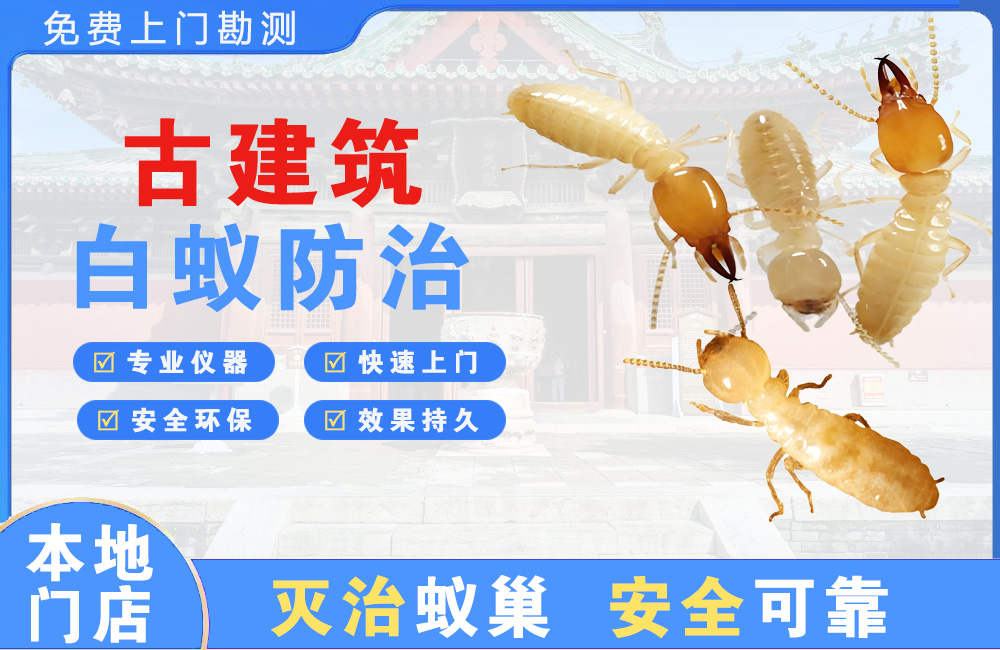临沧古建筑白蚁防治