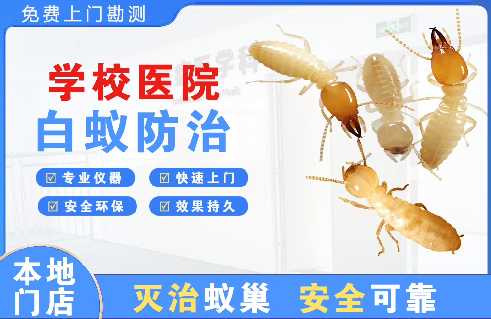 临沧学校医院白蚁防治