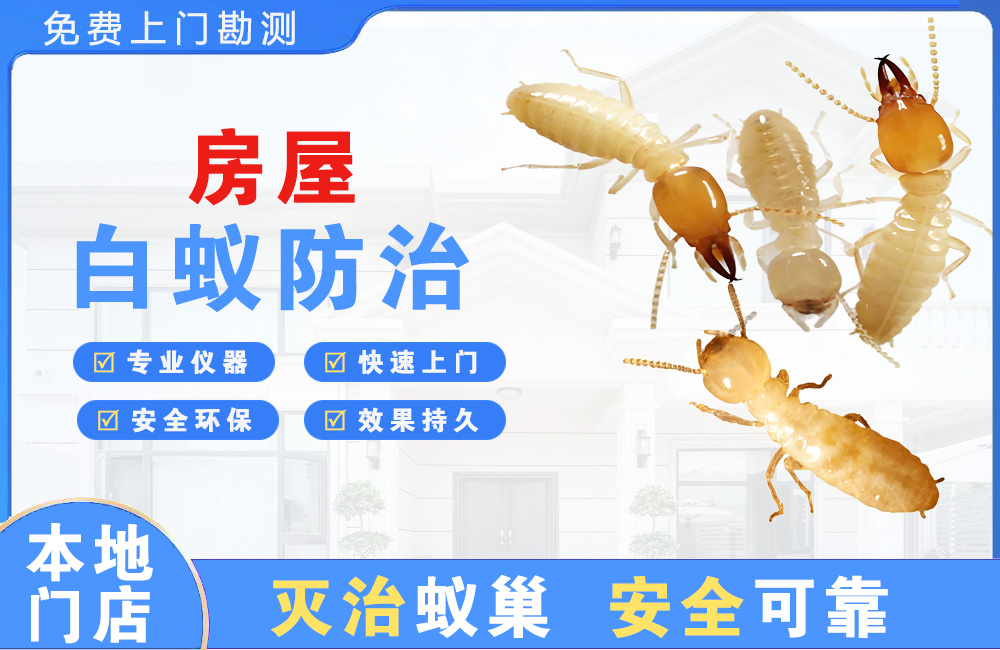 临沧房屋白蚁防治