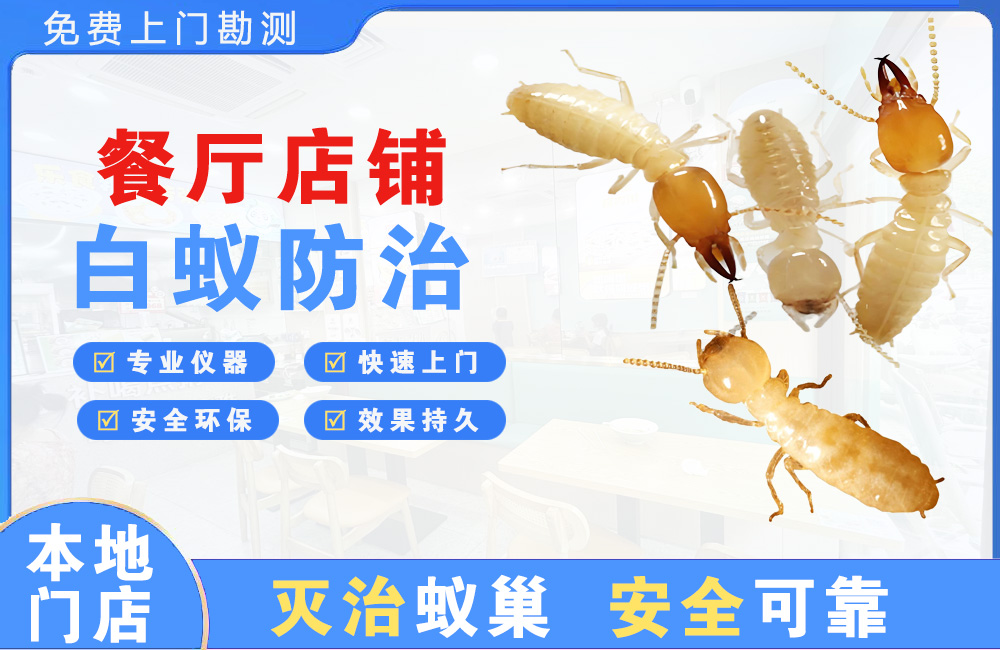 临沧餐厅店铺白蚁防治